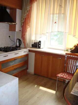 Апартаменты Apartments Centr near Inturist Запорожье Улучшенные апартаменты-16
