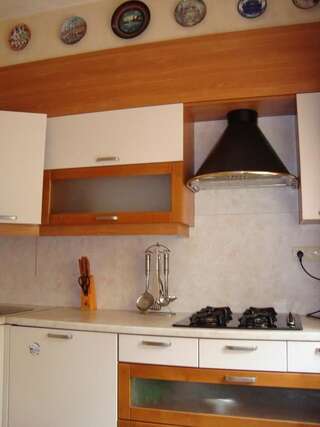 Апартаменты Apartments Centr near Inturist Запорожье Улучшенные апартаменты-17