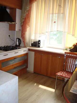 Апартаменты Apartments Centr near Inturist Запорожье Улучшенные апартаменты-8