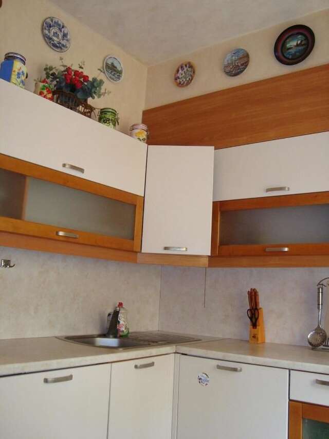 Апартаменты Apartments Centr near Inturist Запорожье-9